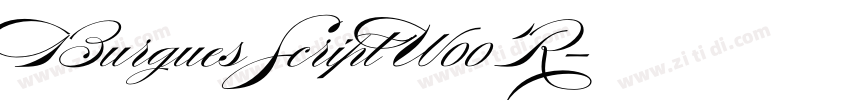 Burgues Script W00 R字体转换